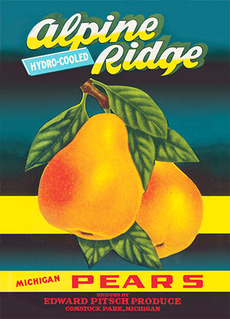 A label for Alpine Ridge Hydro-Cooled Michigan Pears shipped by Edward Pitsch Produce in Comstock Park, Michigan. Design features two large pears against a dark blue, light blue, and yellow striped background.