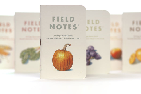Field Notes Harvest notebook featuring a pumpkin on the front. Other notebooks in the pack are in the background out of focus.