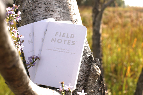 Three Field Notes Birch Bark notebooks positioned on a birch tree with flowers.