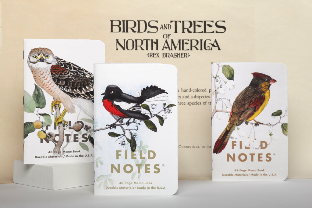 Field Notes For Birds Examples Field Notes Birds and Trees of North America Memo Book 3-Pack (A or B ...