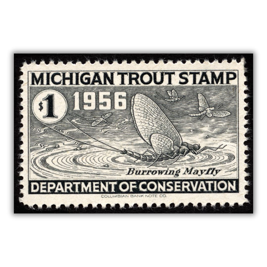 Reproduction of the 1956 Michigan Trout Stamp. The stamp features a drawing of a burrowing mayfly in black ink. Text on the stamp reads "Michigan Trout Stamp 1956 $1 Burrowing Mayfly Department of Conservation Columbian Bank Note Co."