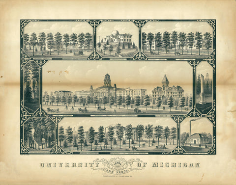 University of Michigan, 1881