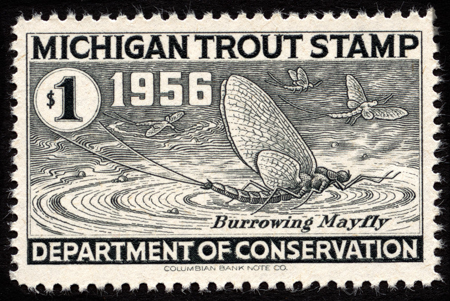 Michigan Trout Stamp, 1956 Magnet