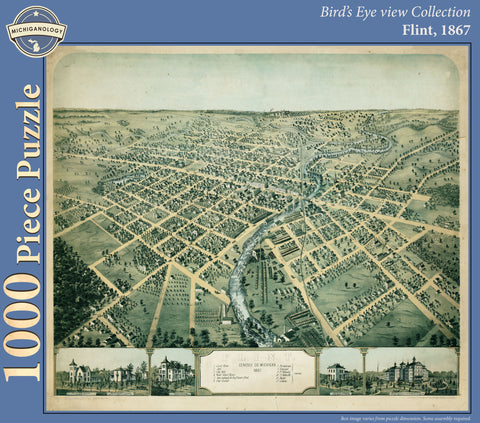 Flint, 1867 Puzzle