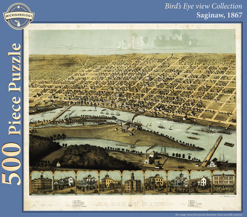 Saginaw, 1867 Puzzle