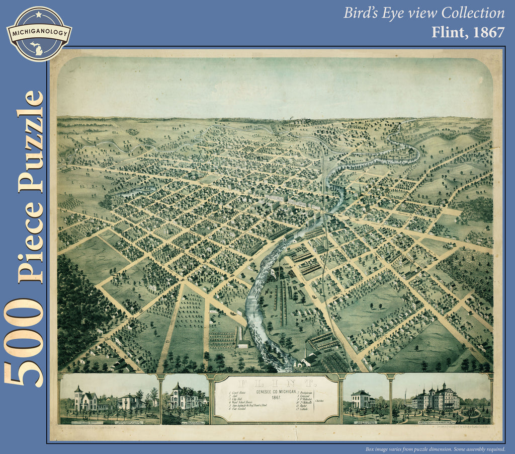 Flint, 1867 Puzzle