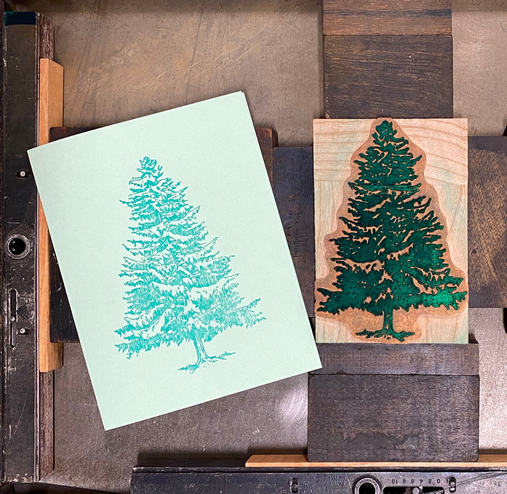Letterpress White Pine Note Cards (blank)
